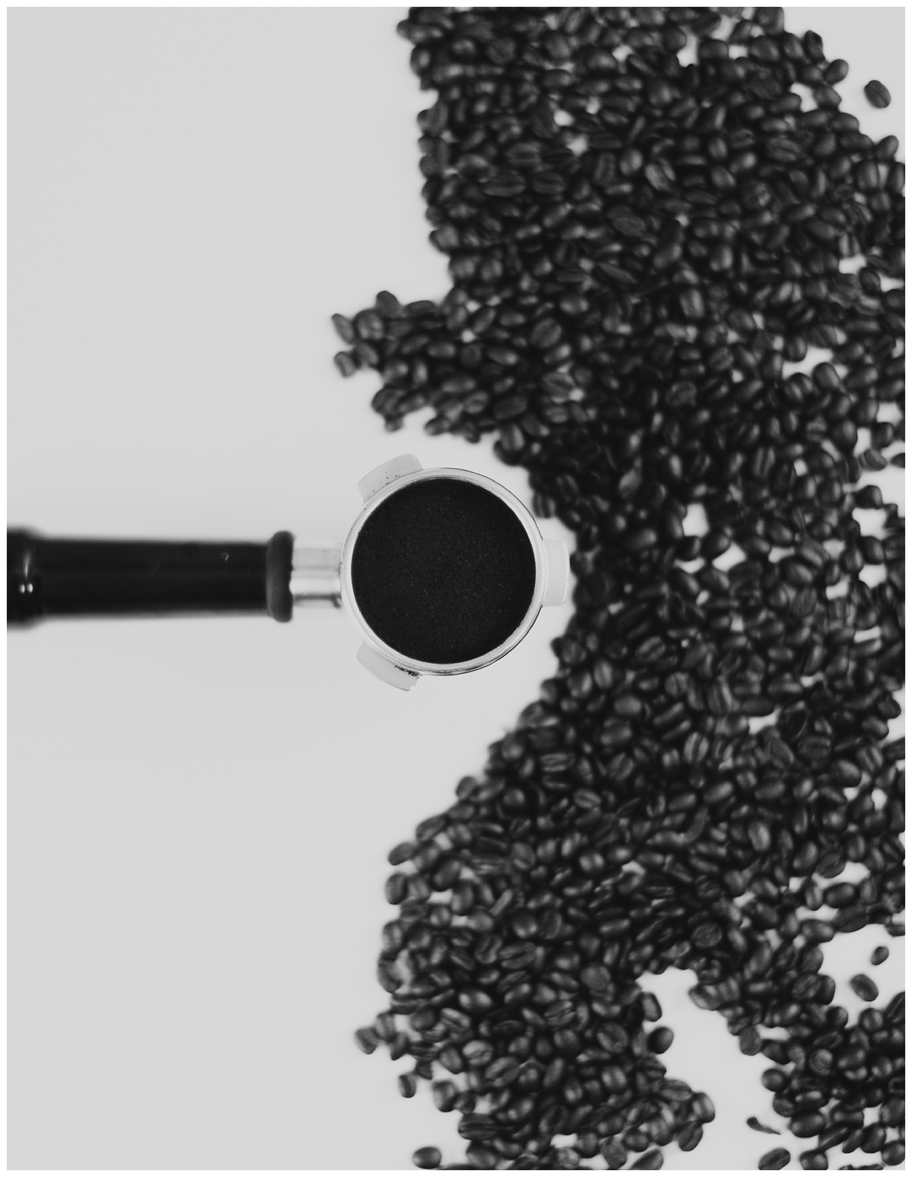 black and white image of coffee beans on a white table