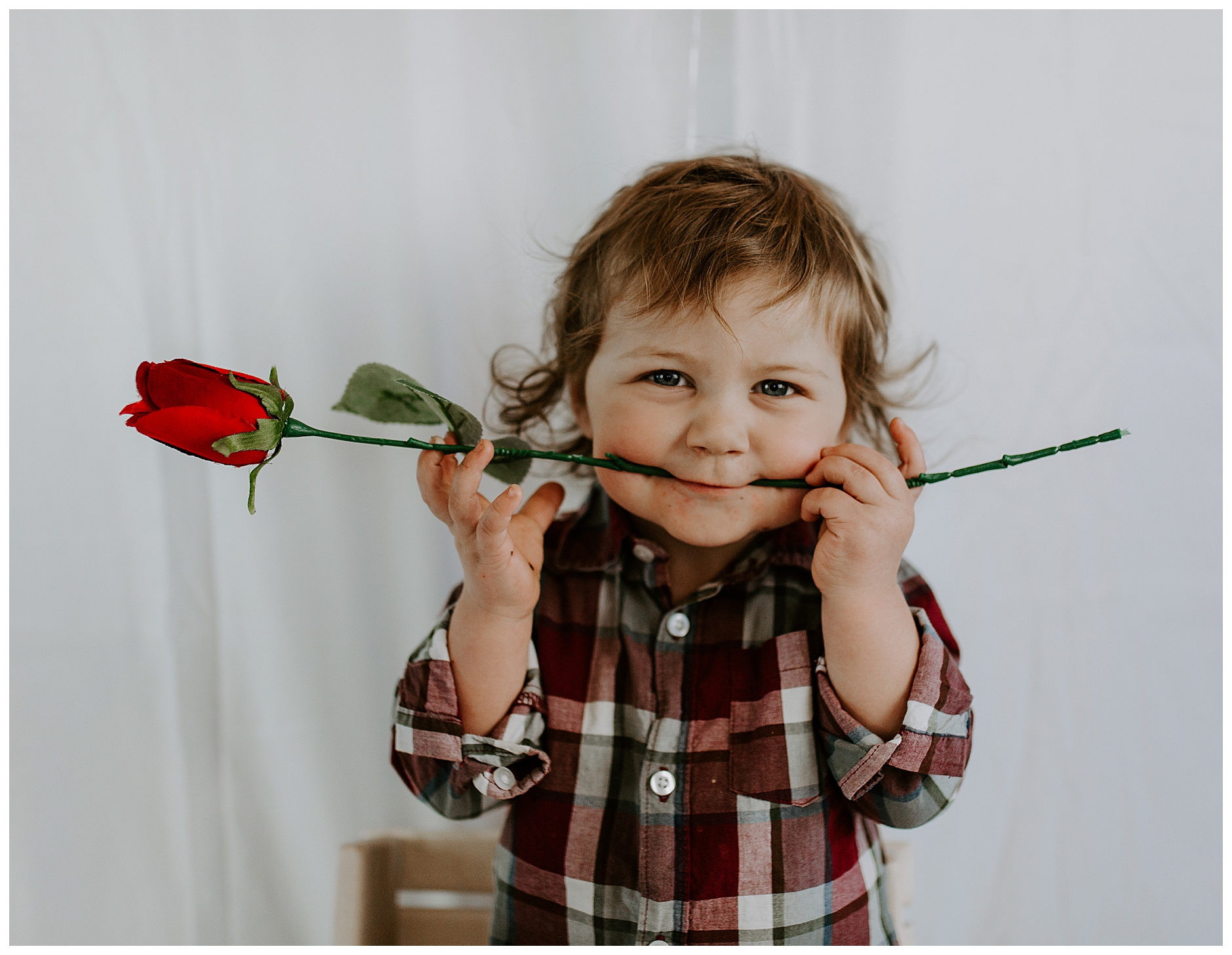 toddler boy with rose in his mouth